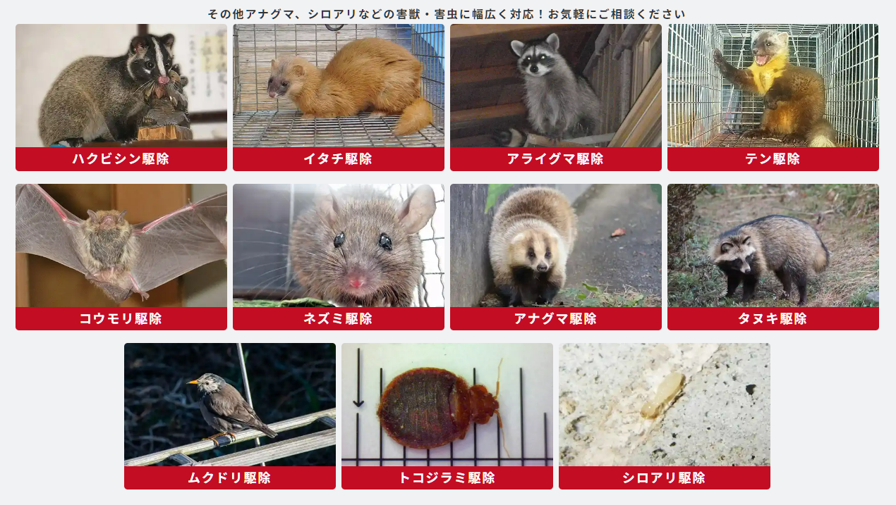 駆除ザウルス対応している害獣